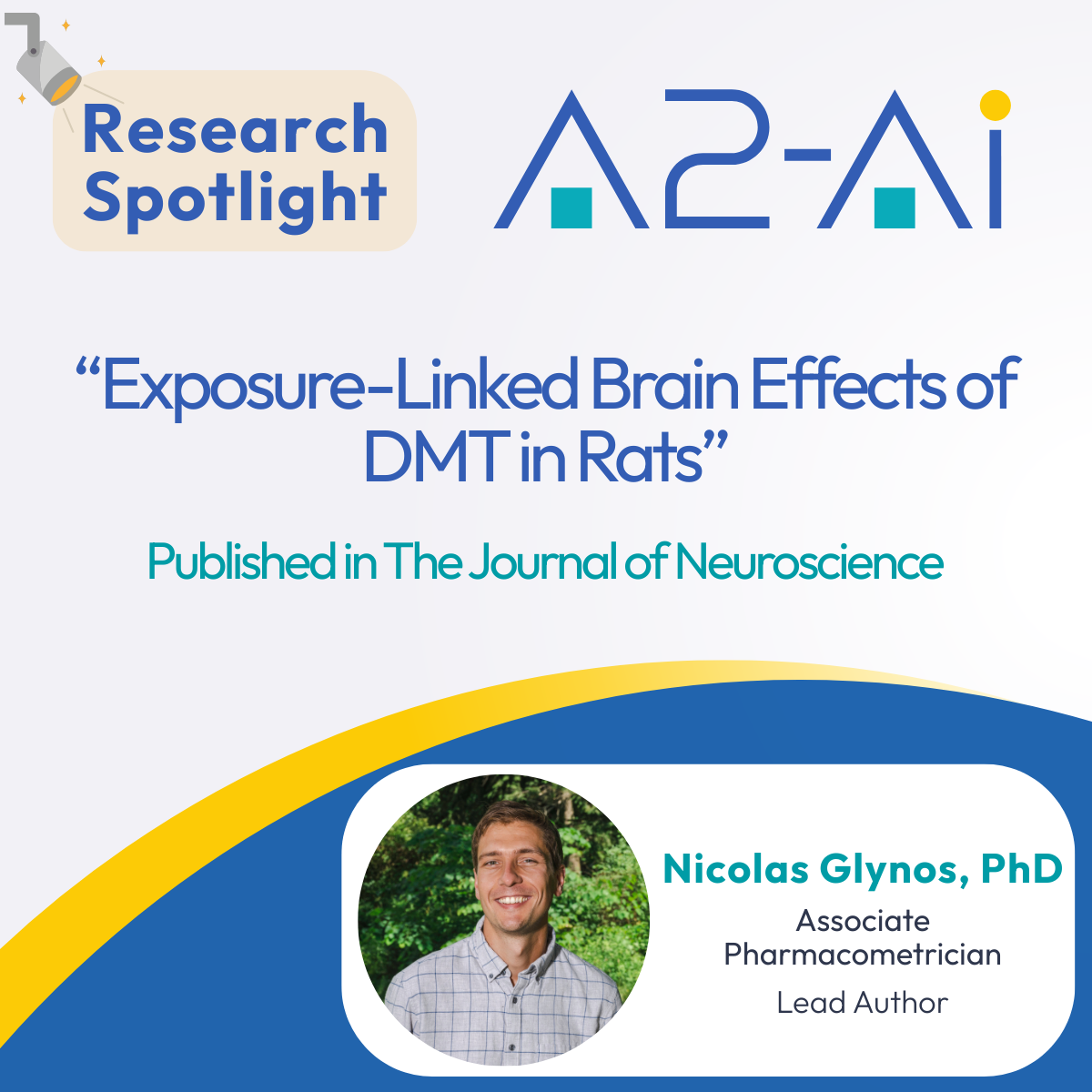 Exposure-Linked Brain Effects of DMT in Rats